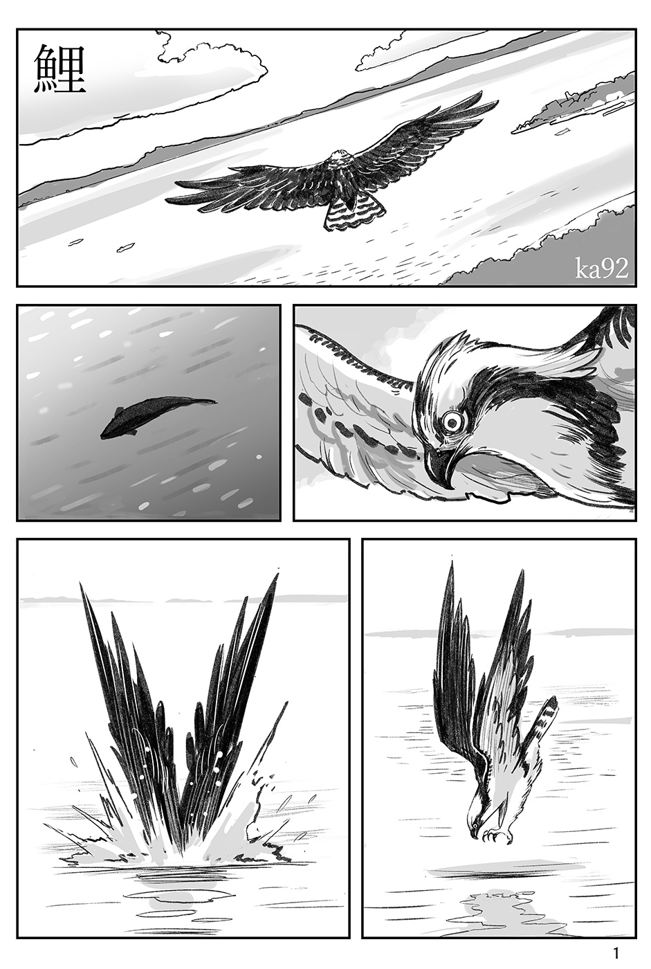 Carp 第6页