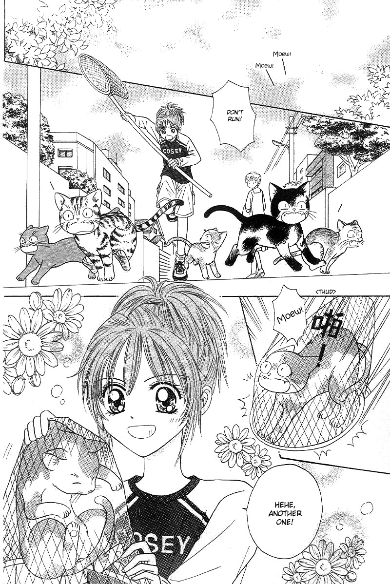 Travel To The Cats' Territory 第3页