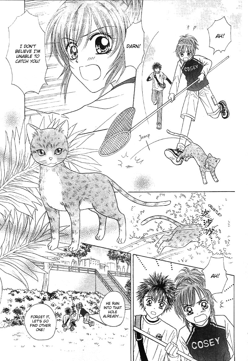 Travel To The Cats' Territory 第7页