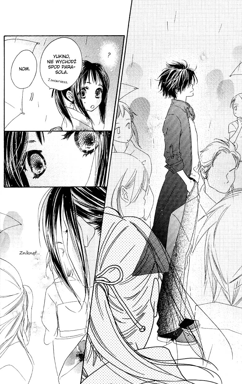 Kiss/Hug Cornus florida (Dereń kwiecisty) 第17页