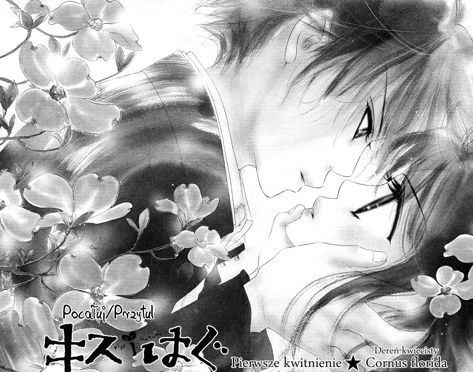 Kiss/Hug Cornus florida (Dereń kwiecisty) 第8页