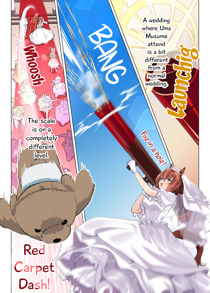 Uma Musume Pretty Derby - Hanayome CB 100 Kei 第3页
