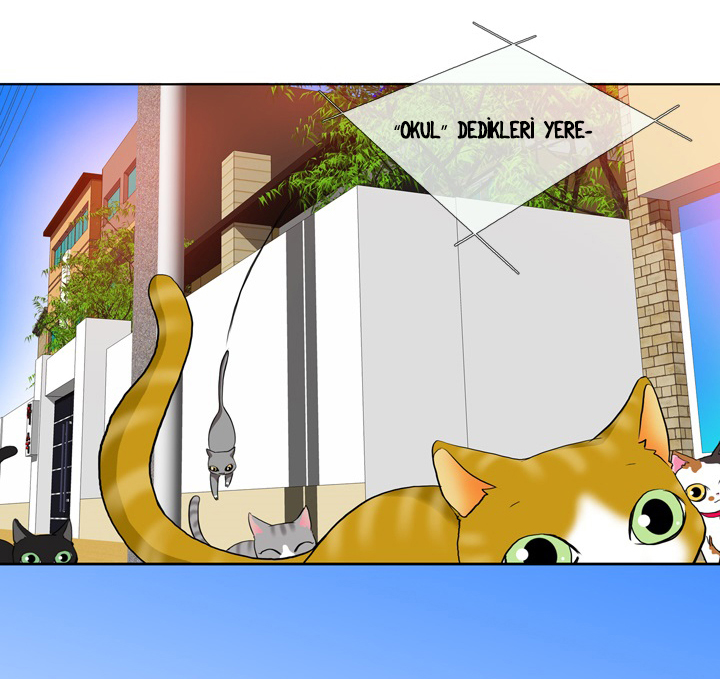 Take Care of My Cat Ch. 2 第45页