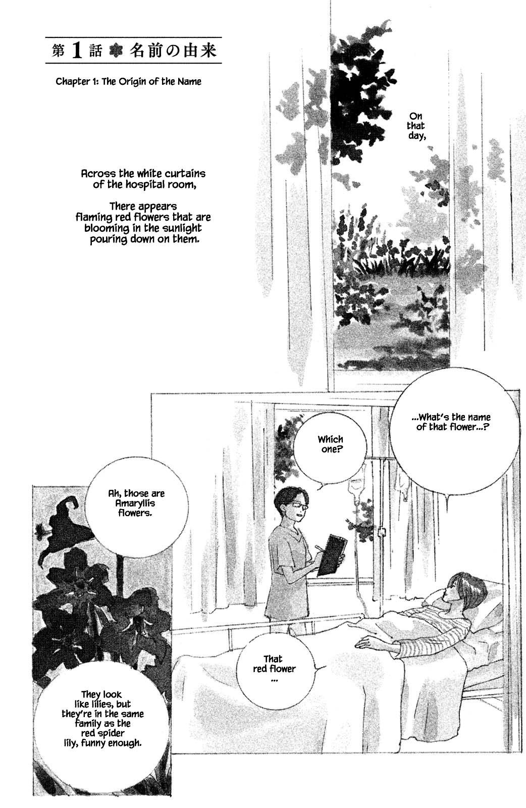 Alice & Amaryllis 第4页