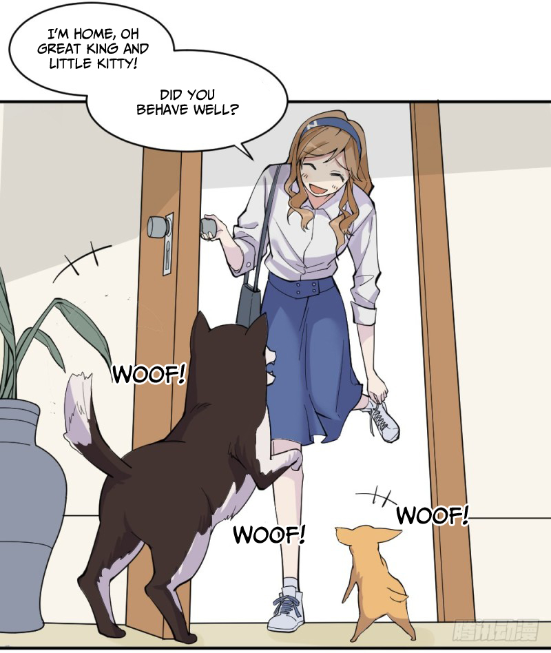 The Matchmaker Forbids Me From Dating Ch. 1 第145页