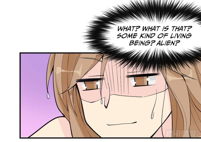 The Matchmaker Forbids Me From Dating Ch. 1 第157页