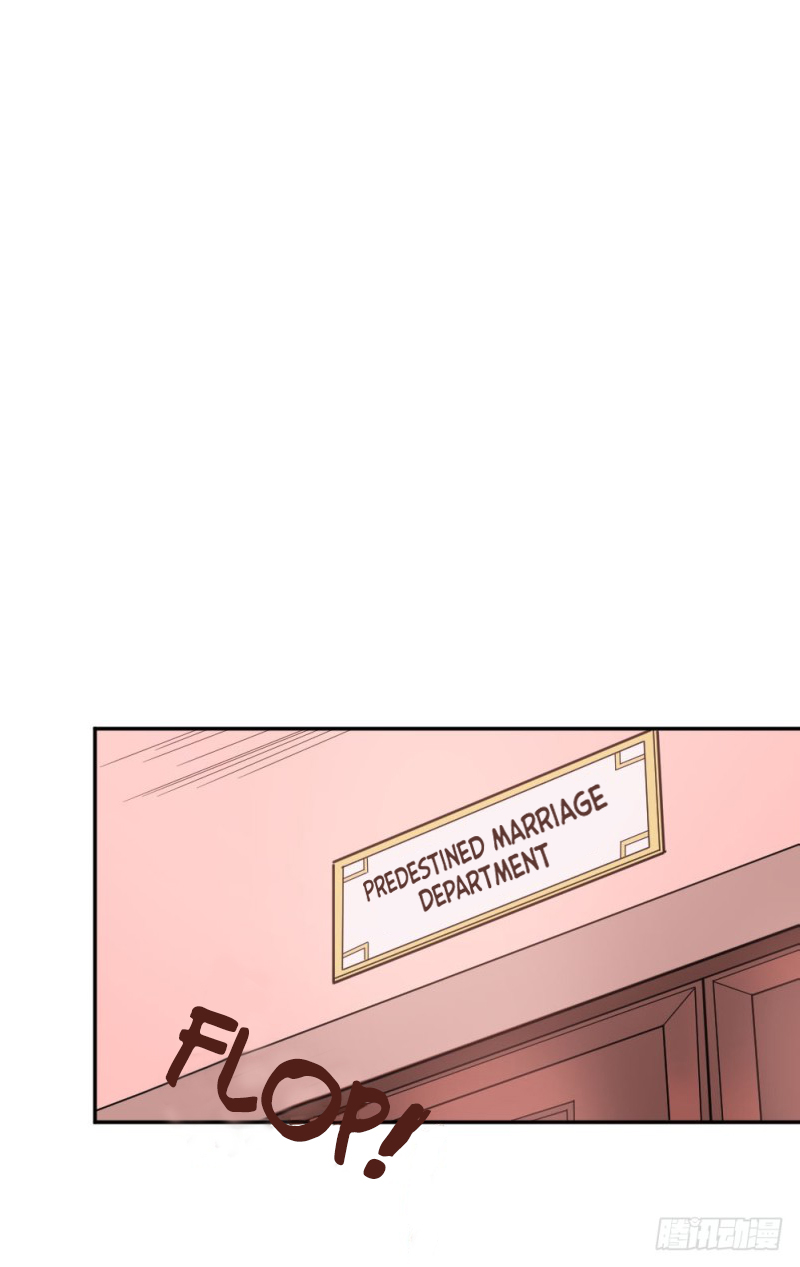 The Matchmaker Forbids Me From Dating Ch. 1 第49页