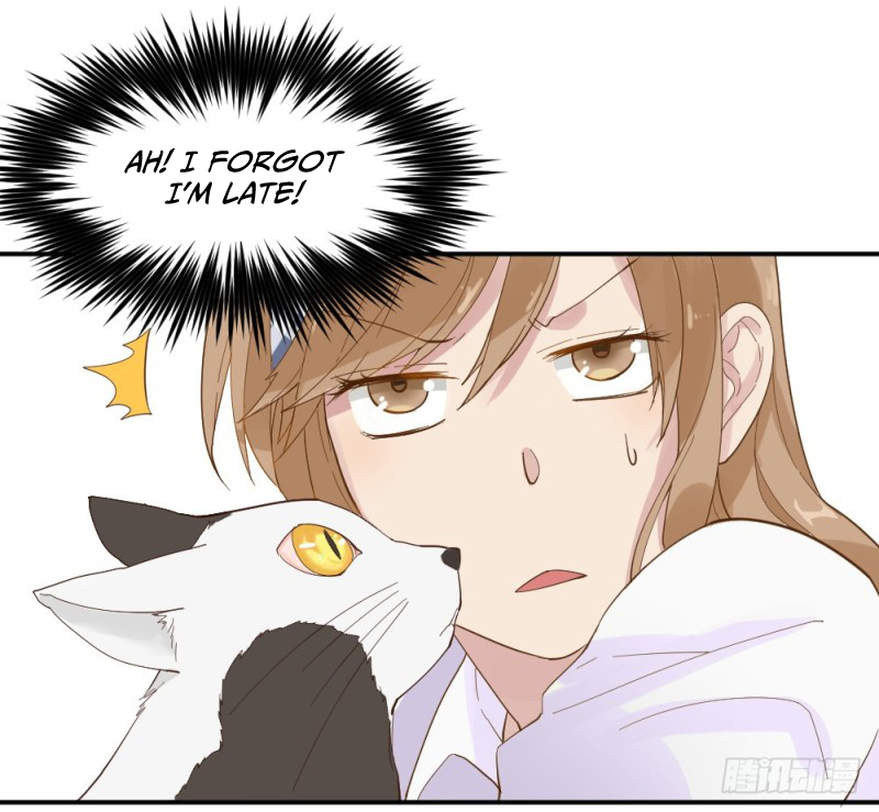 The Matchmaker Forbids Me From Dating Ch. 1 第77页