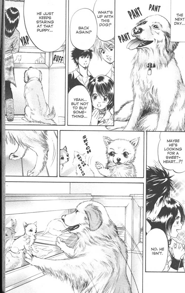 Inubaka A Dog Comes Calling All By Itself? 第17页