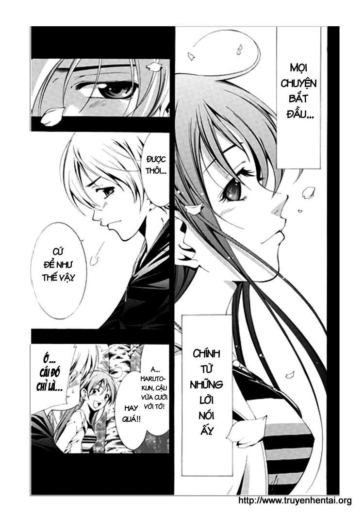 Kimi no Iru Machi Khi anh đào nở rộ 第37页