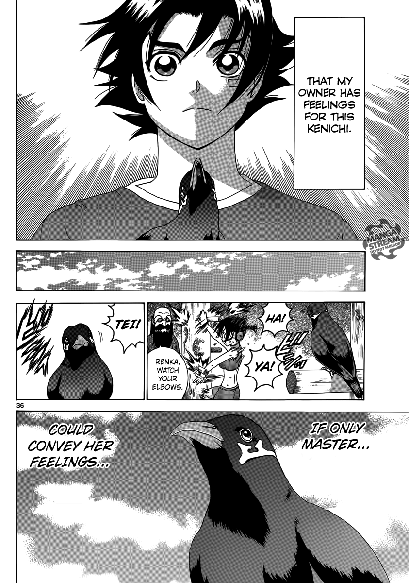 History's Strongest Disciple Kenichi + Renka's Love and the Grateful Hill Mynah 第38页