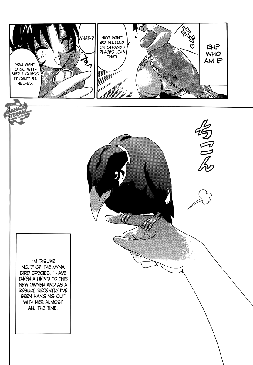 History's Strongest Disciple Kenichi + Renka's Love and the Grateful Hill Mynah 第8页