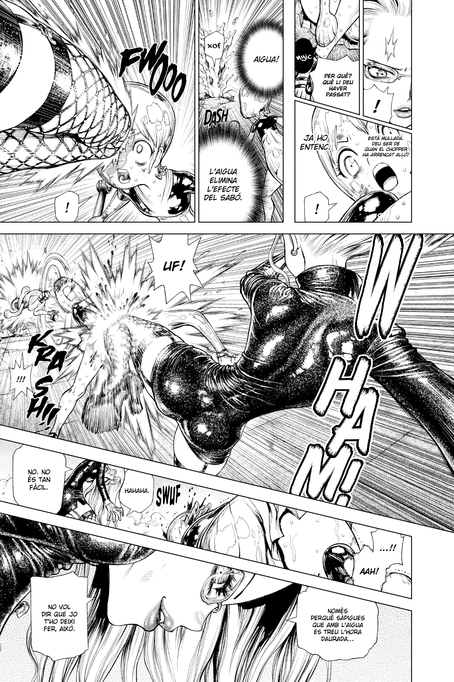 One Piece: Ace’s Story—The Manga Nami contra Kalifa 第19页