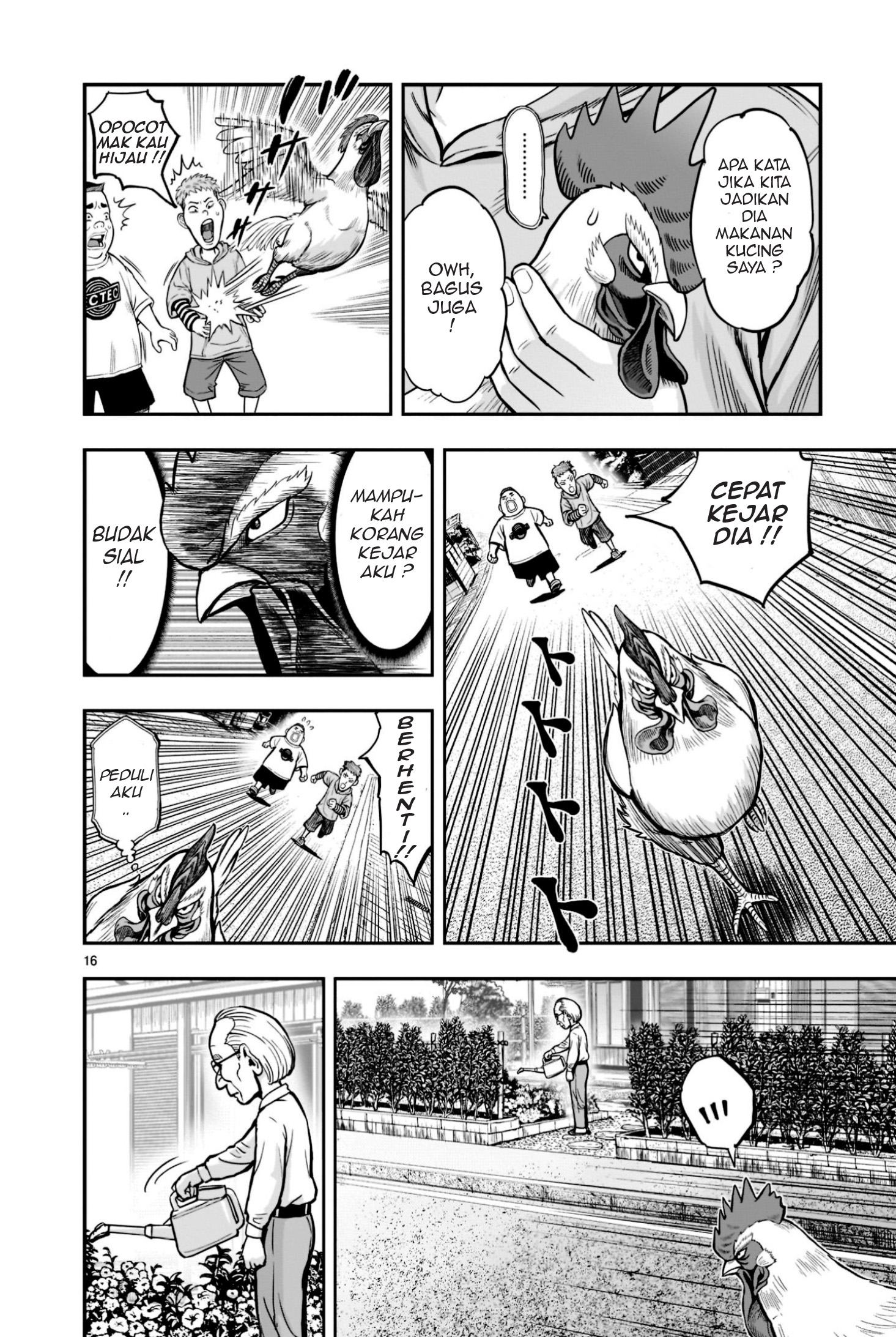Niwatori Fighter Binatang Berbulu Berkumpul 第16页