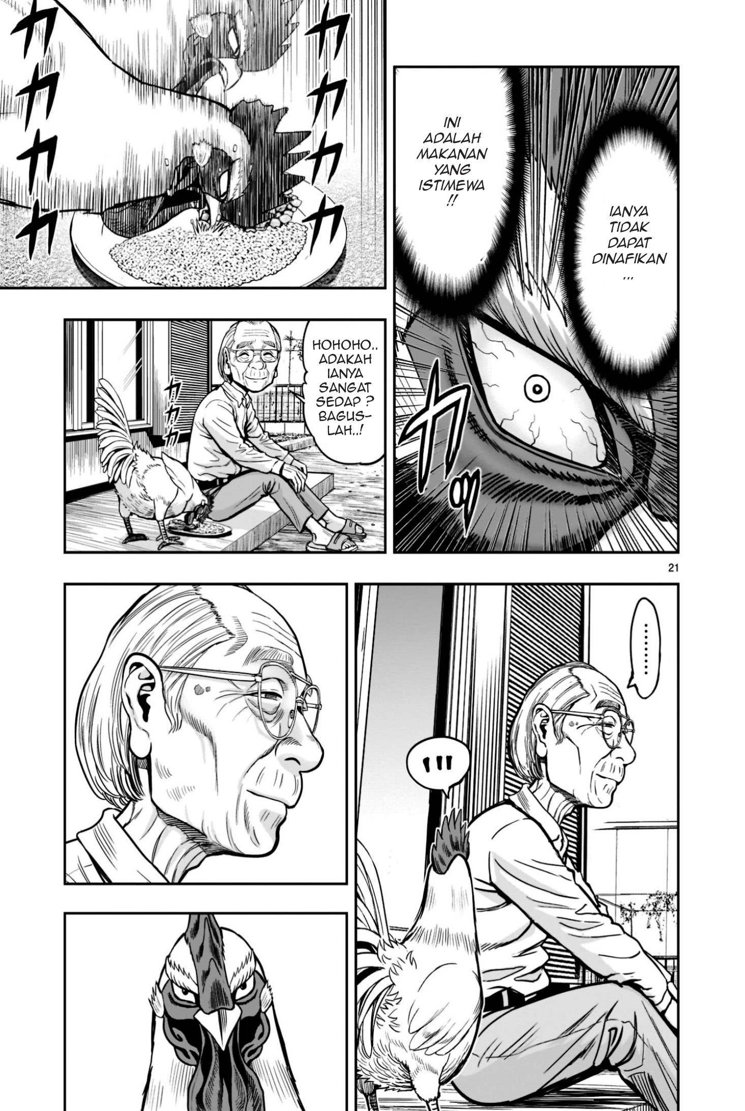 Niwatori Fighter Binatang Berbulu Berkumpul 第21页