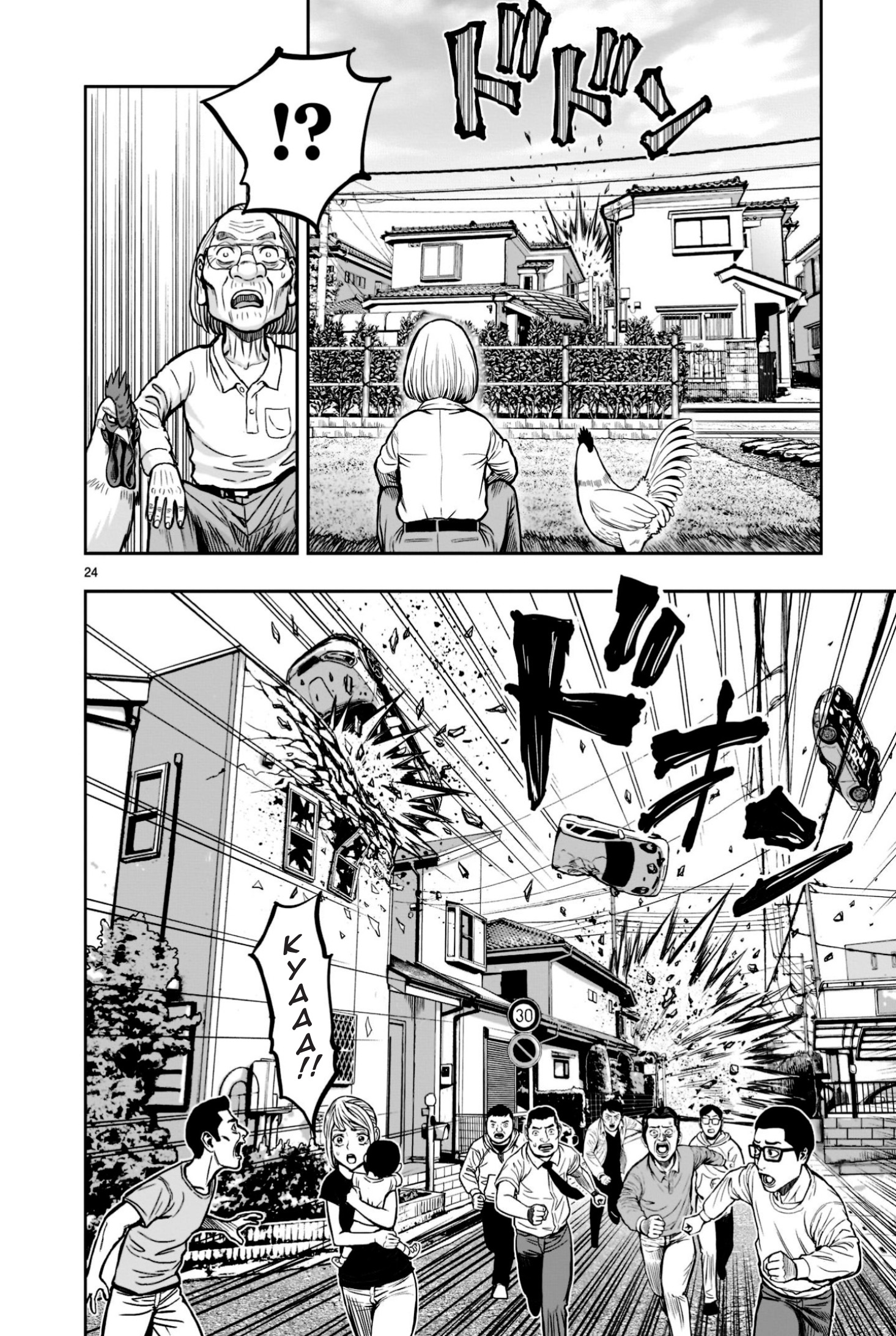 Niwatori Fighter Binatang Berbulu Berkumpul 第24页