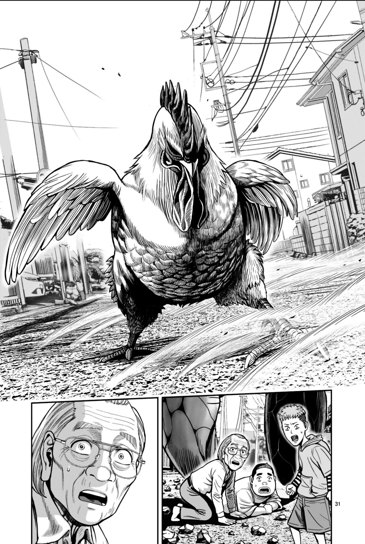 Niwatori Fighter Binatang Berbulu Berkumpul 第30页