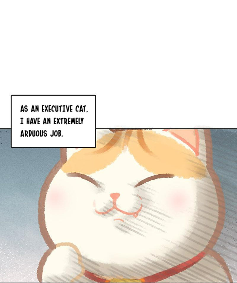 Meow Bells Executive Cat's Daily Life 第3页