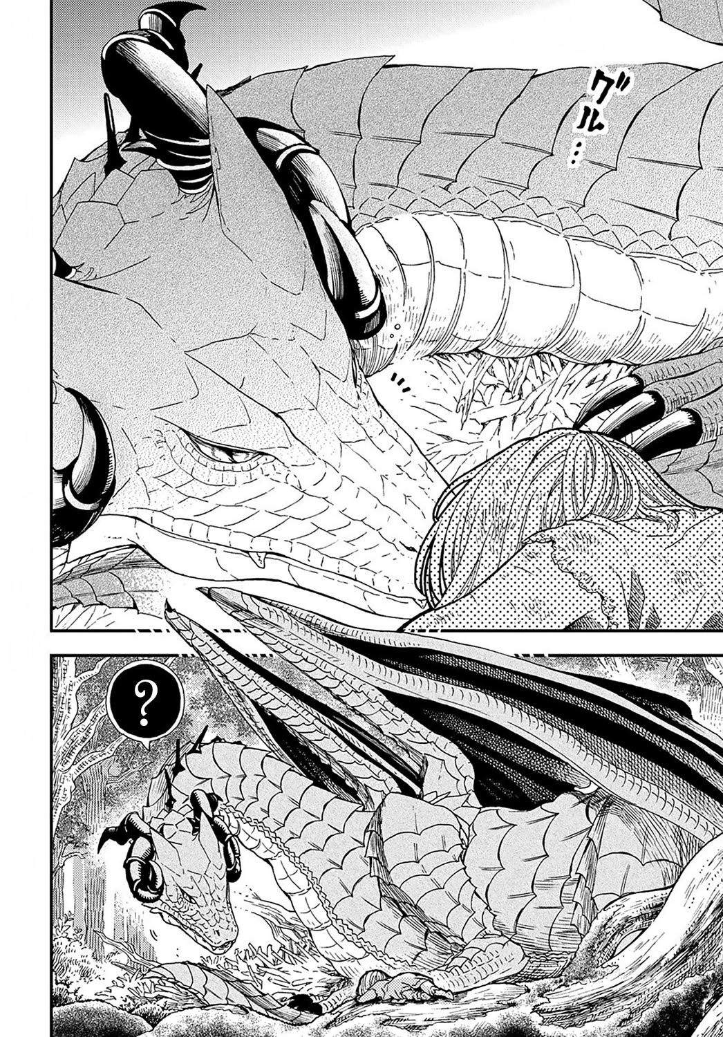 Hone Dragon no Mana Musume O velho dragão ainda não está morto 第7页