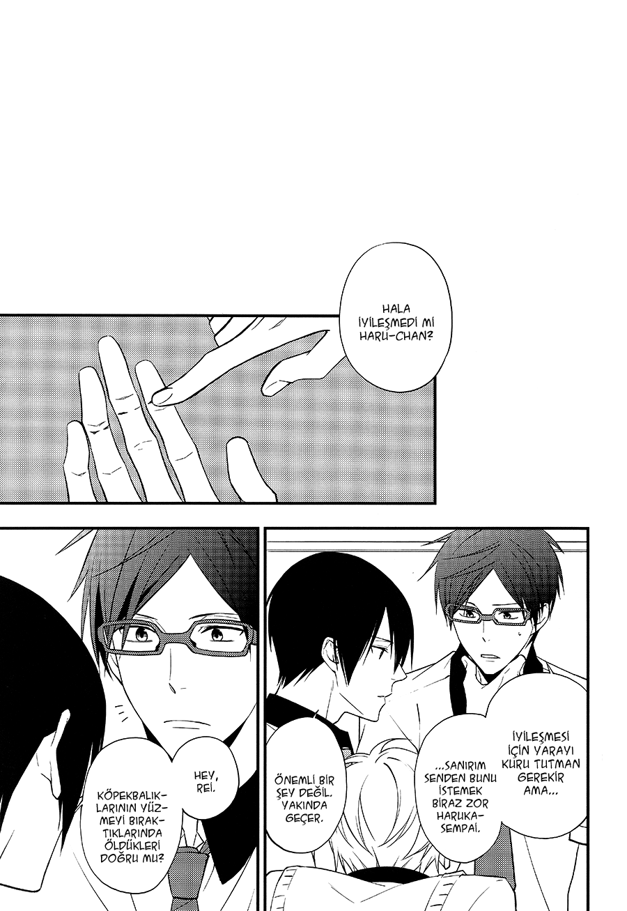 Free! - Sad Prisoner (Doujinshi) Oneshot 第13页