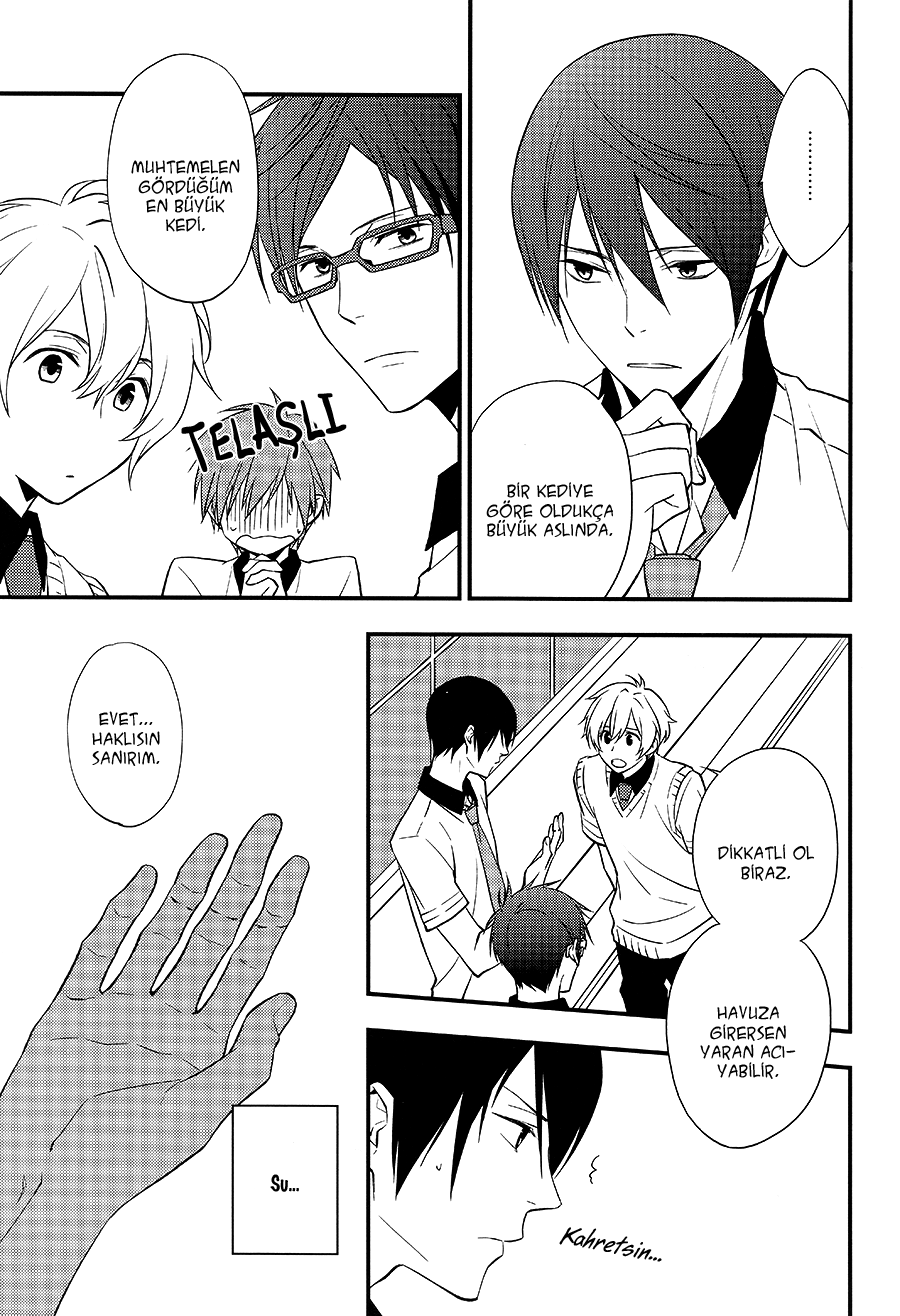 Free! - Sad Prisoner (Doujinshi) Oneshot 第9页