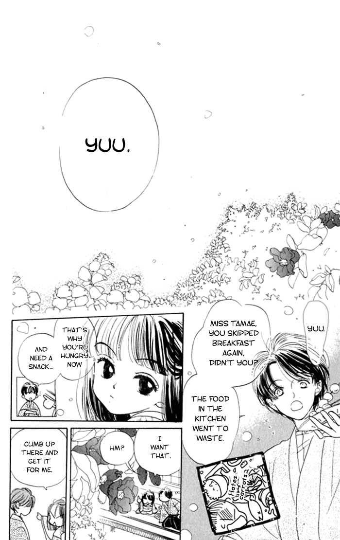Slope Mansion ni Okaeri Ajisai Flower Garden 第3页