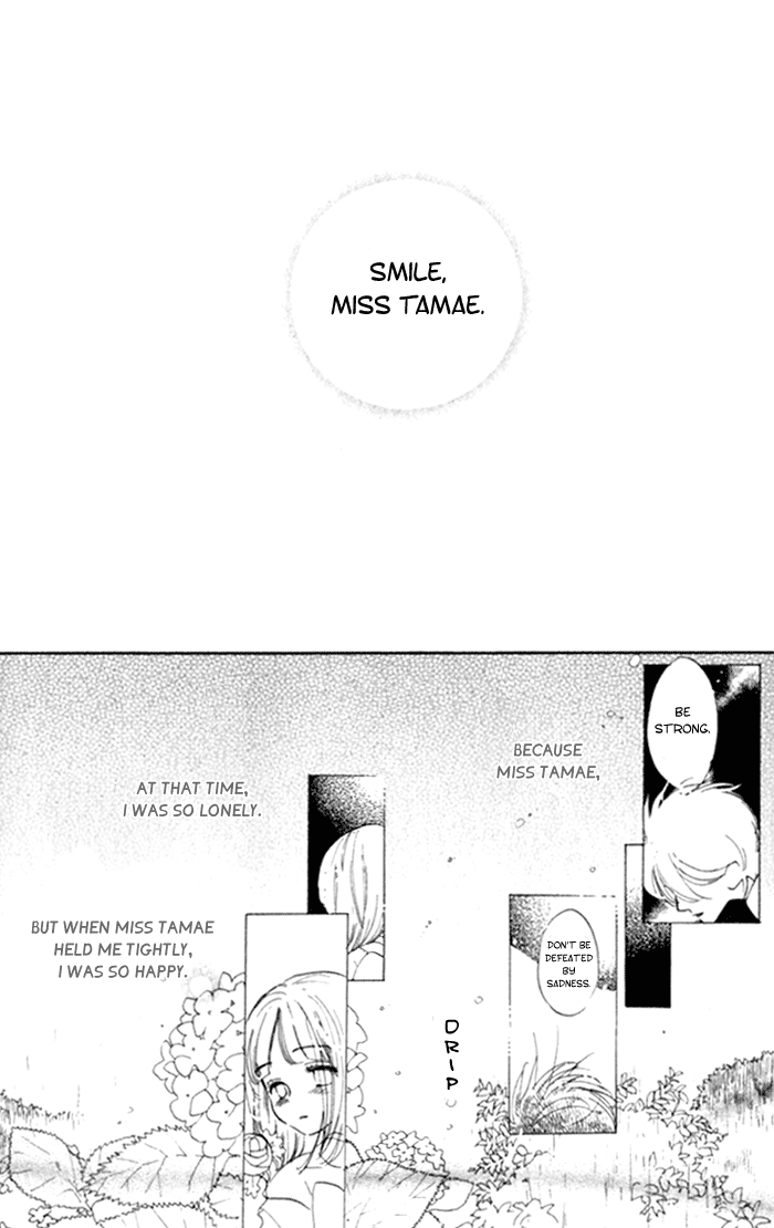 Slope Mansion ni Okaeri Ajisai Flower Garden 第27页