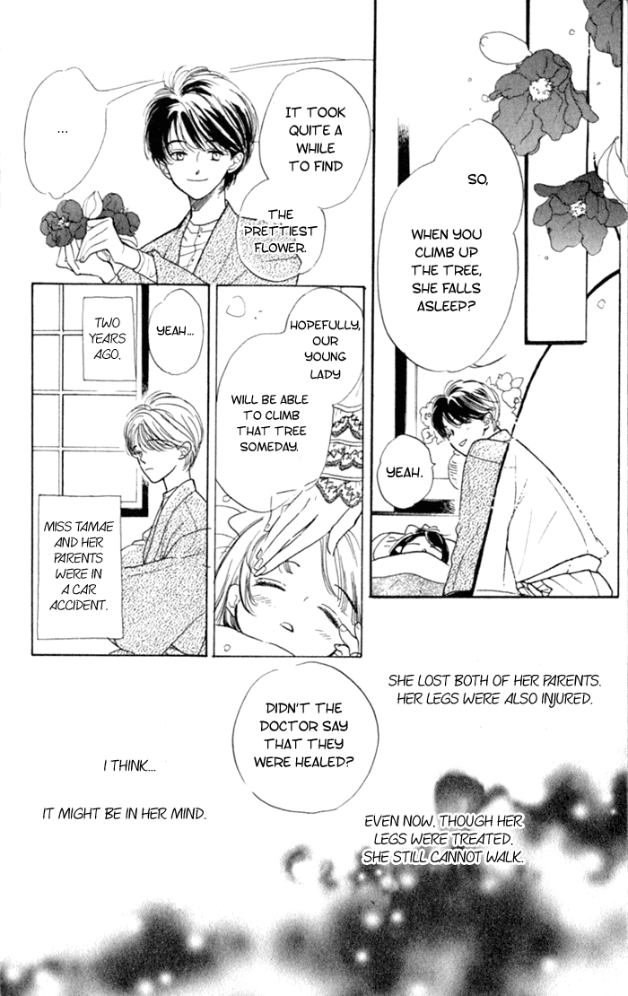 Slope Mansion ni Okaeri Ajisai Flower Garden 第5页
