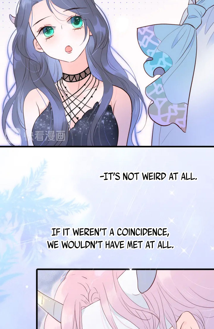 The Beauty Ran Away With the Hedgehog Don't Touch Him 第37页