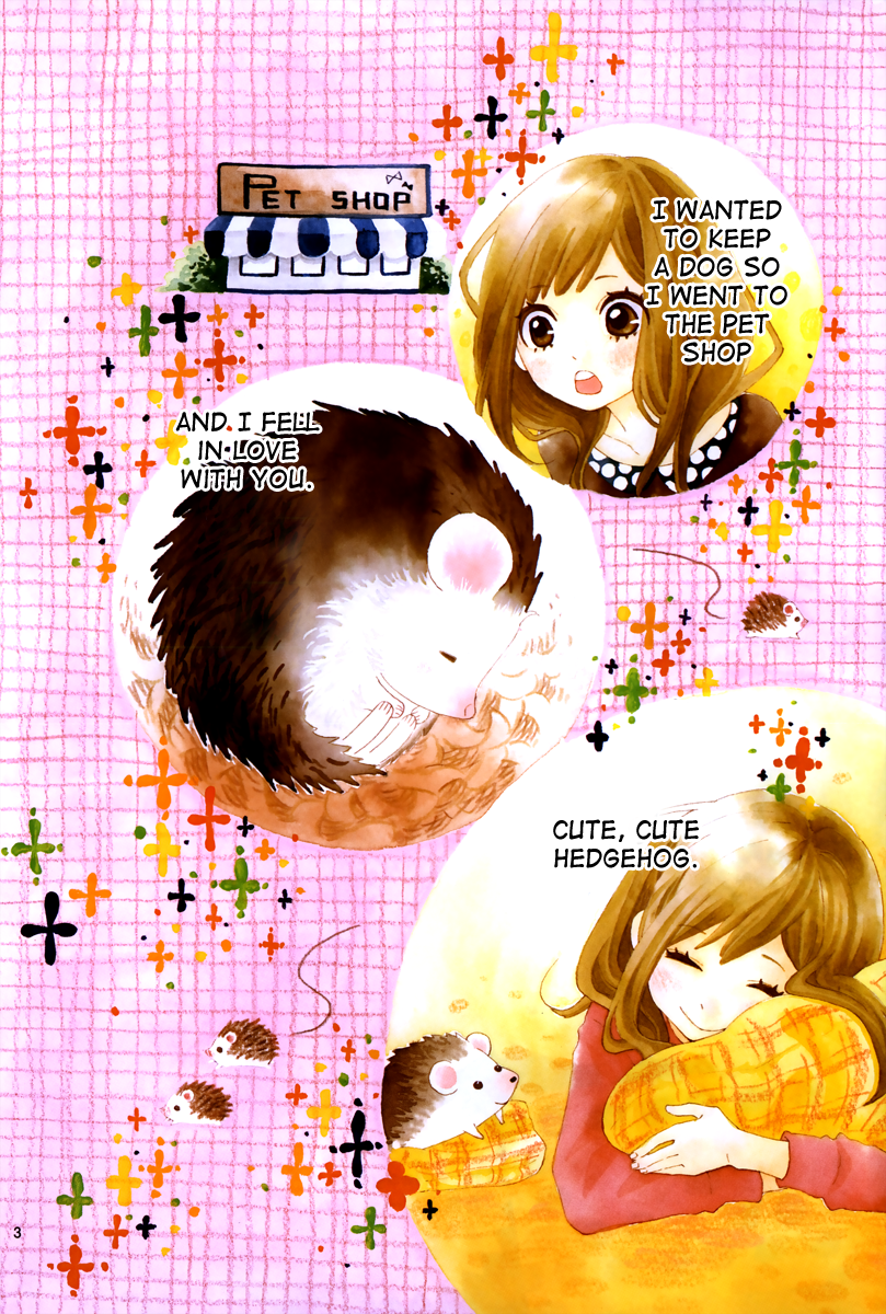 Koisuru Harinezumi Love Banny-chan... 第4页