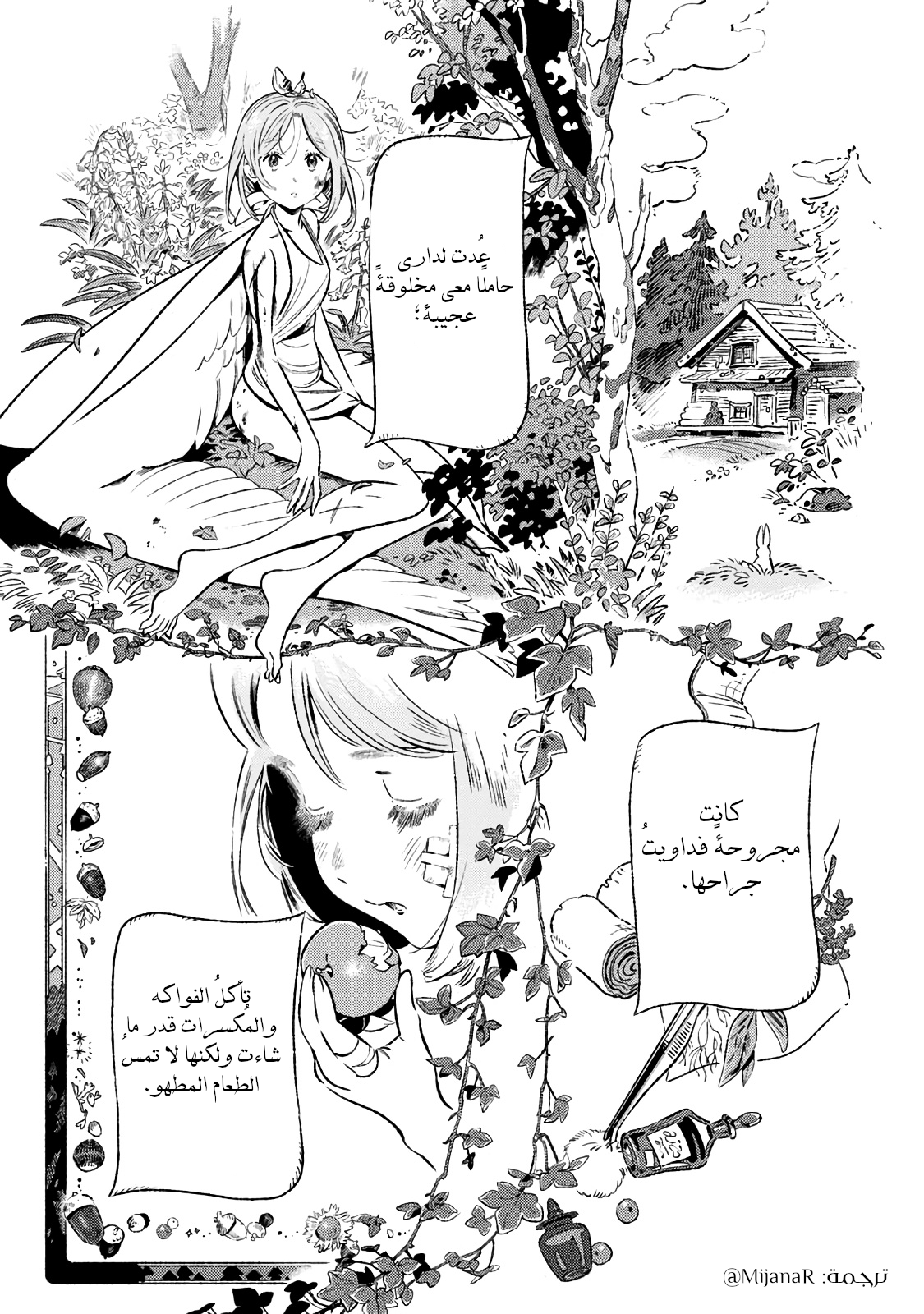 Those With Wings ذوي الأجنحة 第1页