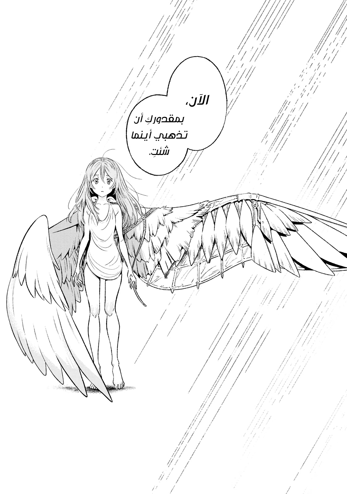 Those With Wings ذوي الأجنحة 第11页