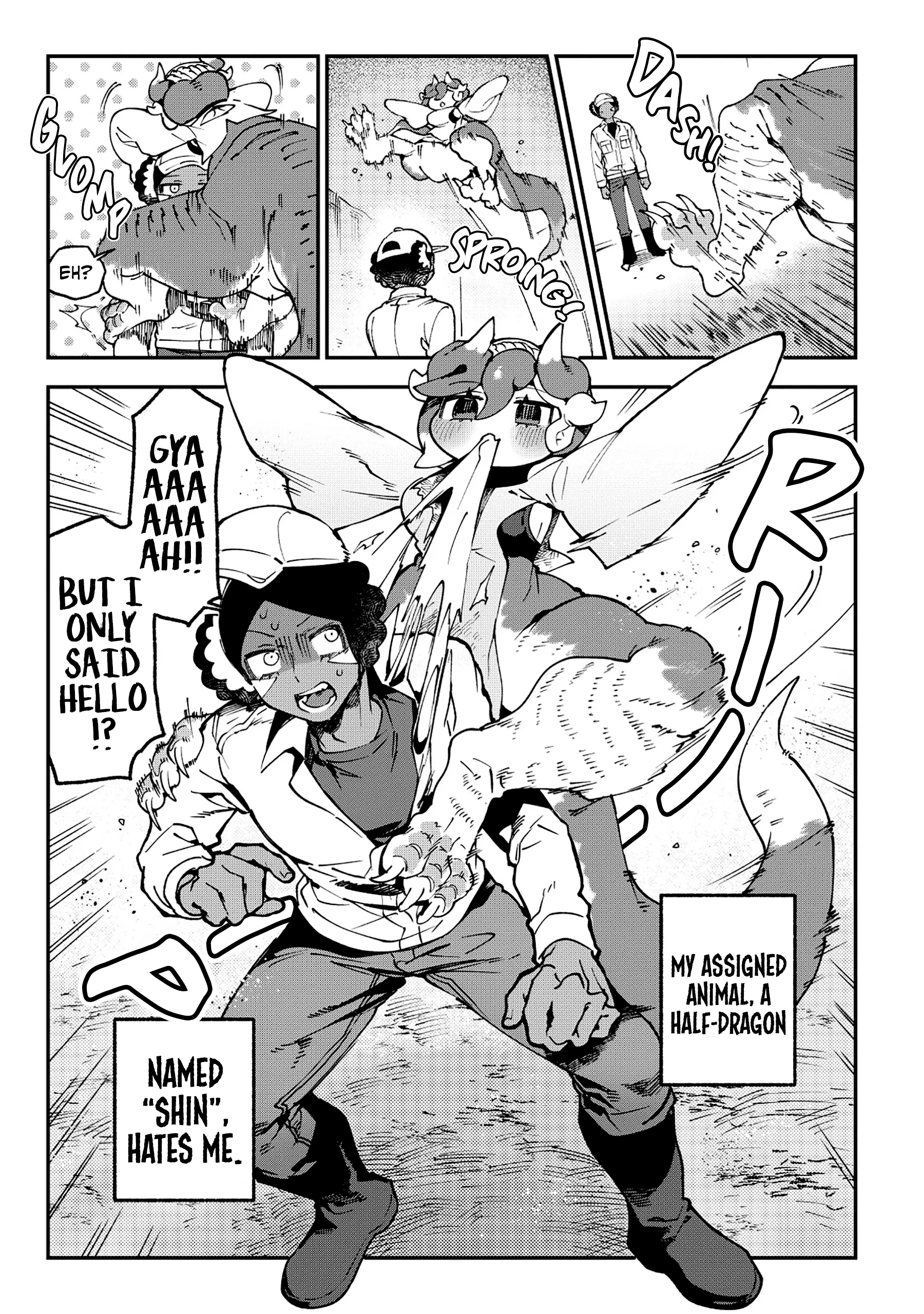 Tougarashi Dragon no Shin 第4页