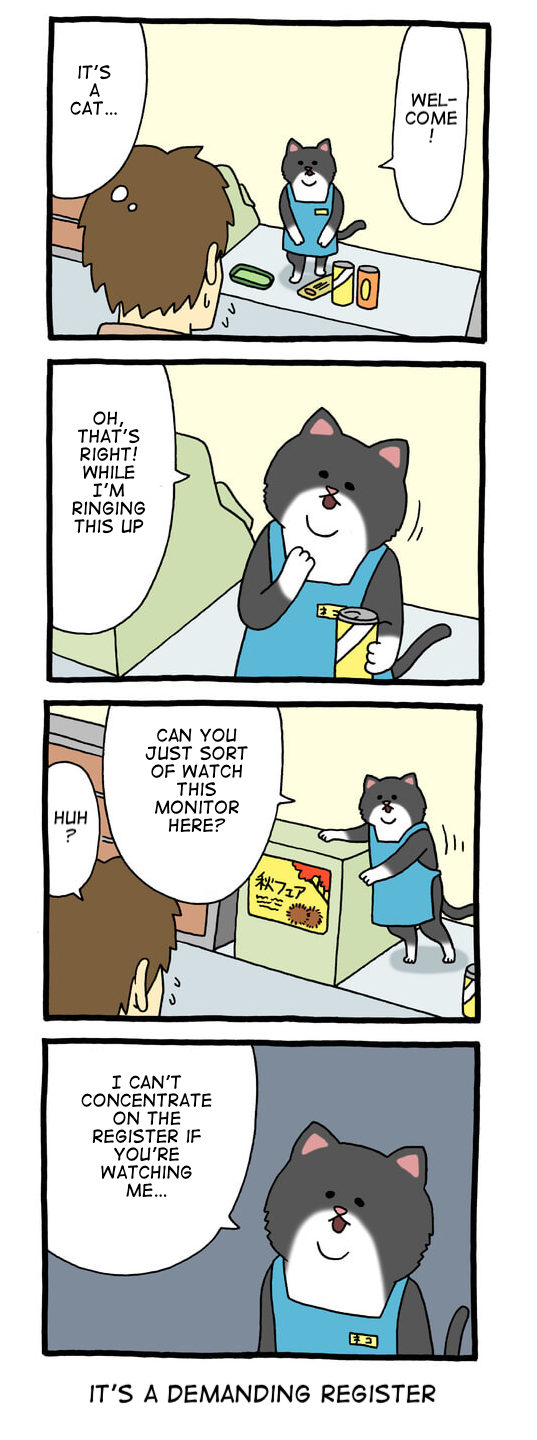 Register Cat 第1页