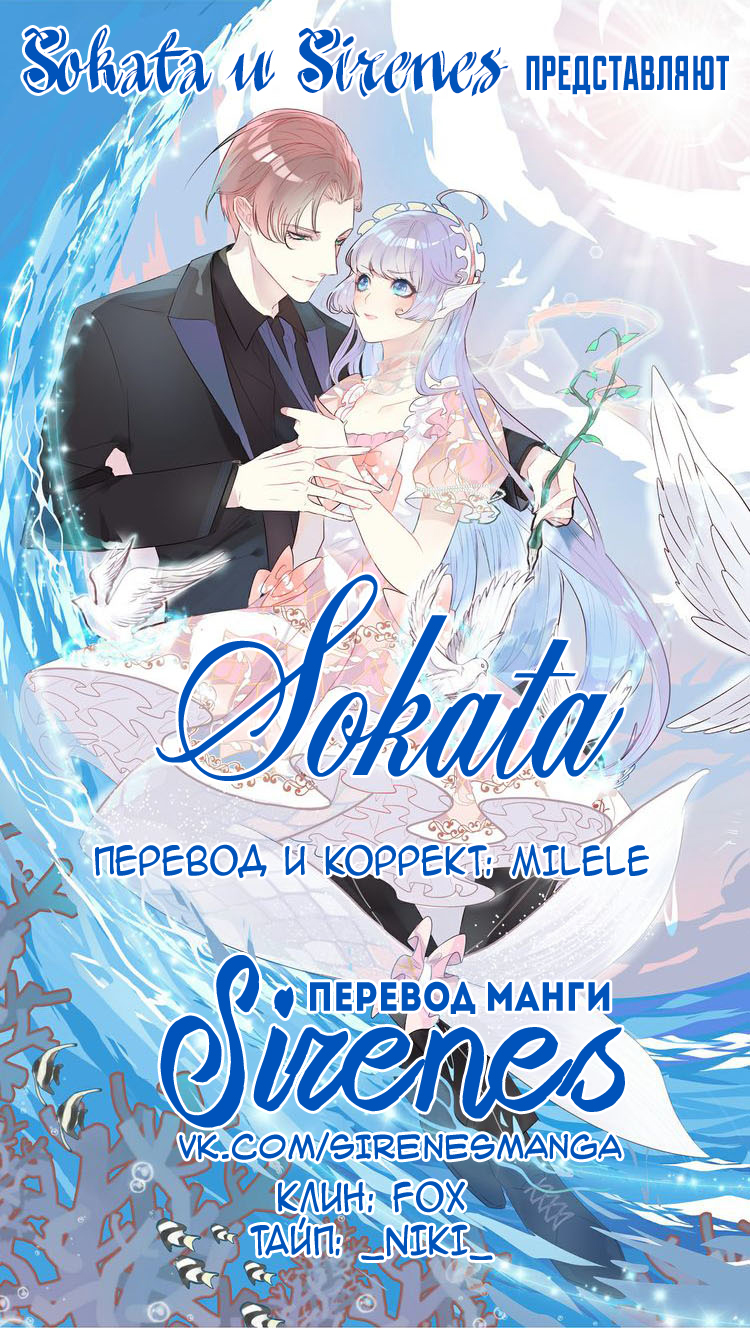 Mermaid's Dresses Свет в подвале 第1页