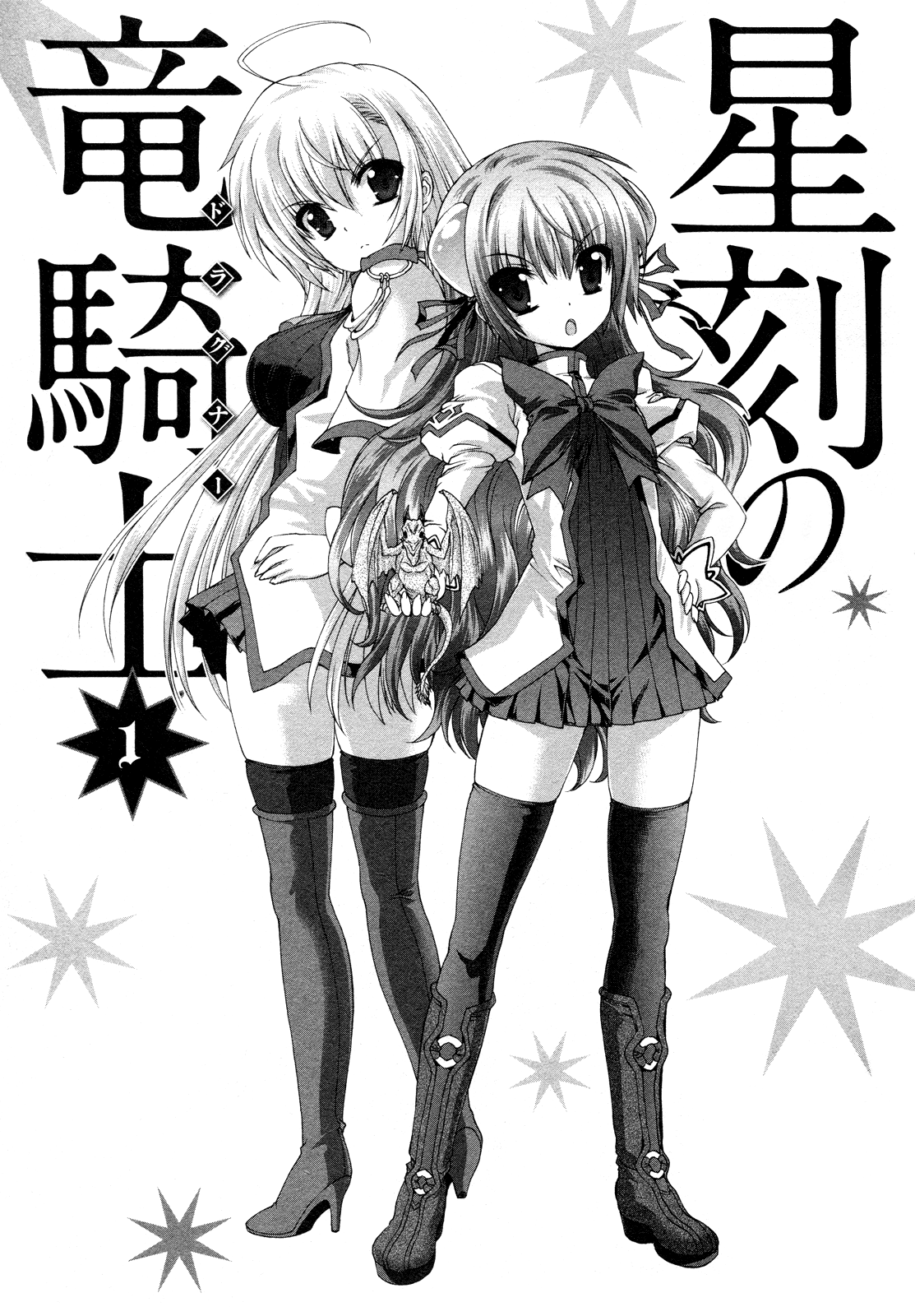 Seikoku no Dragonar 第6页