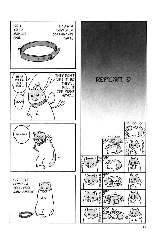 Hamster Research Report Report 2-5 第1页