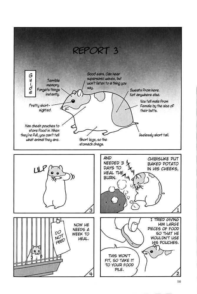 Hamster Research Report Report 2-5 第3页