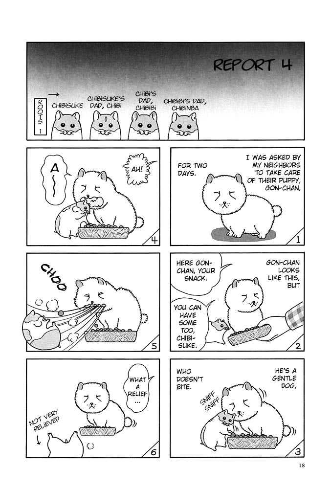 Hamster Research Report Report 2-5 第5页