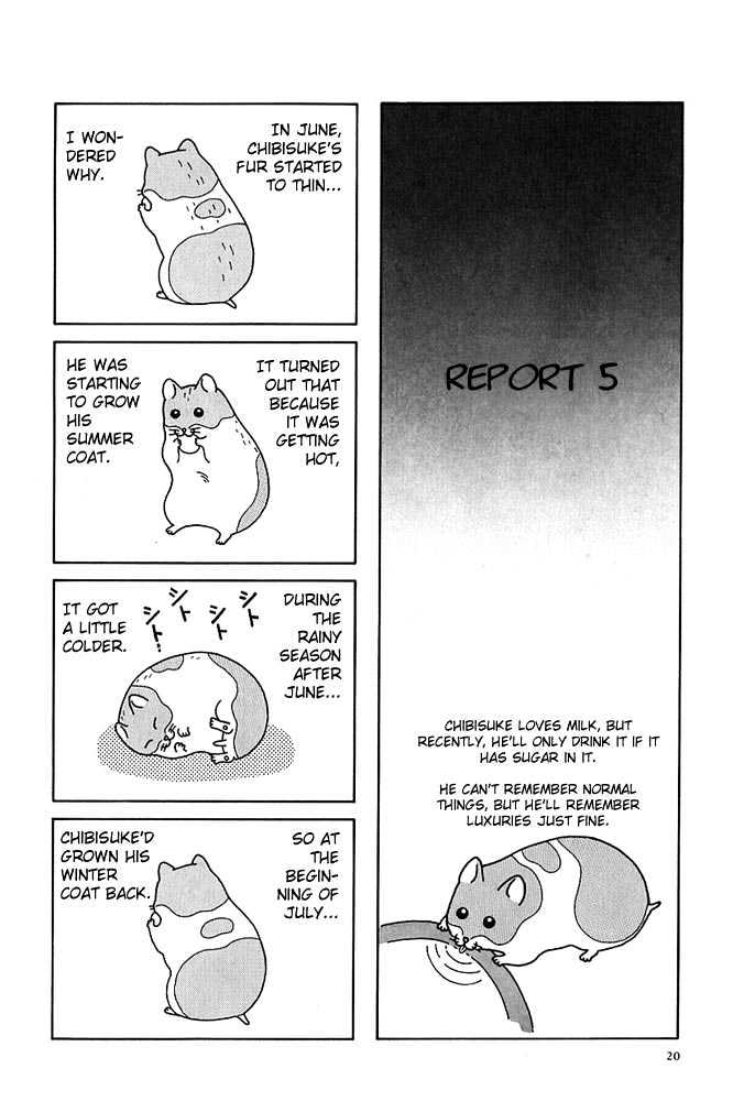 Hamster Research Report Report 2-5 第7页