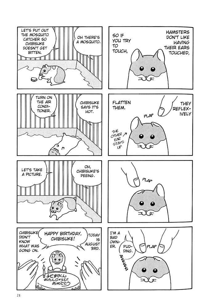 Hamster Research Report Report 2-5 第8页