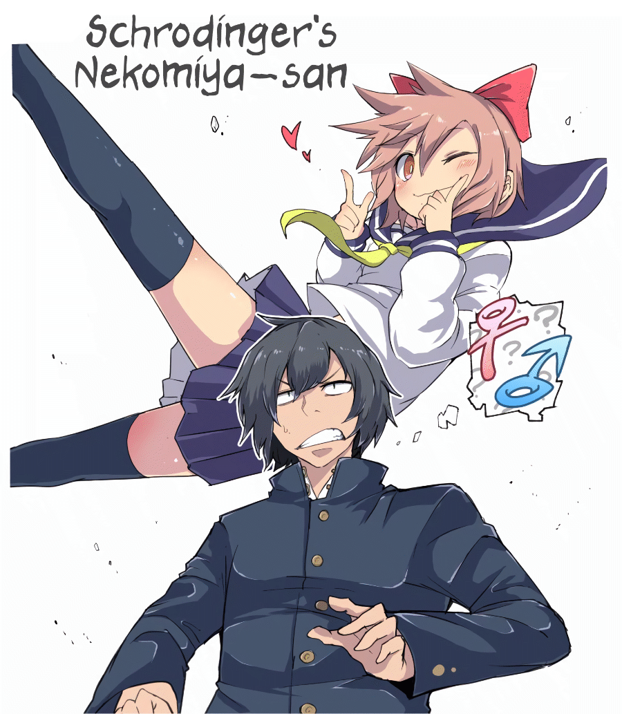 Schrodinger's Nekomiya-san 第1页