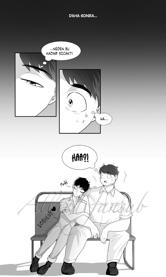 This Fluffy Love Eve Dönüş Yolculuğu (1) 第11页