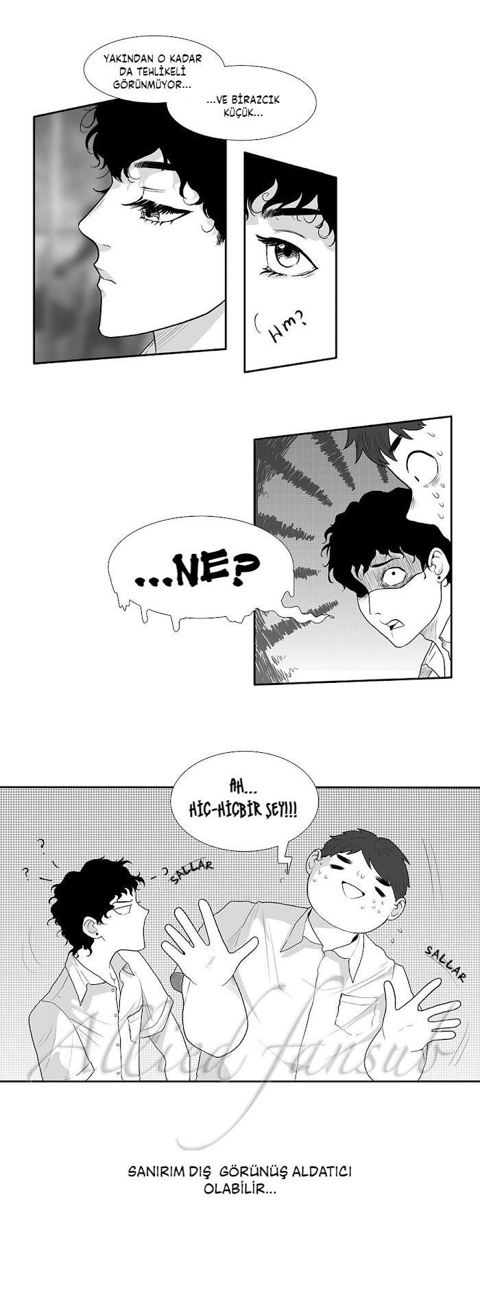 This Fluffy Love Eve Dönüş Yolculuğu (1) 第9页