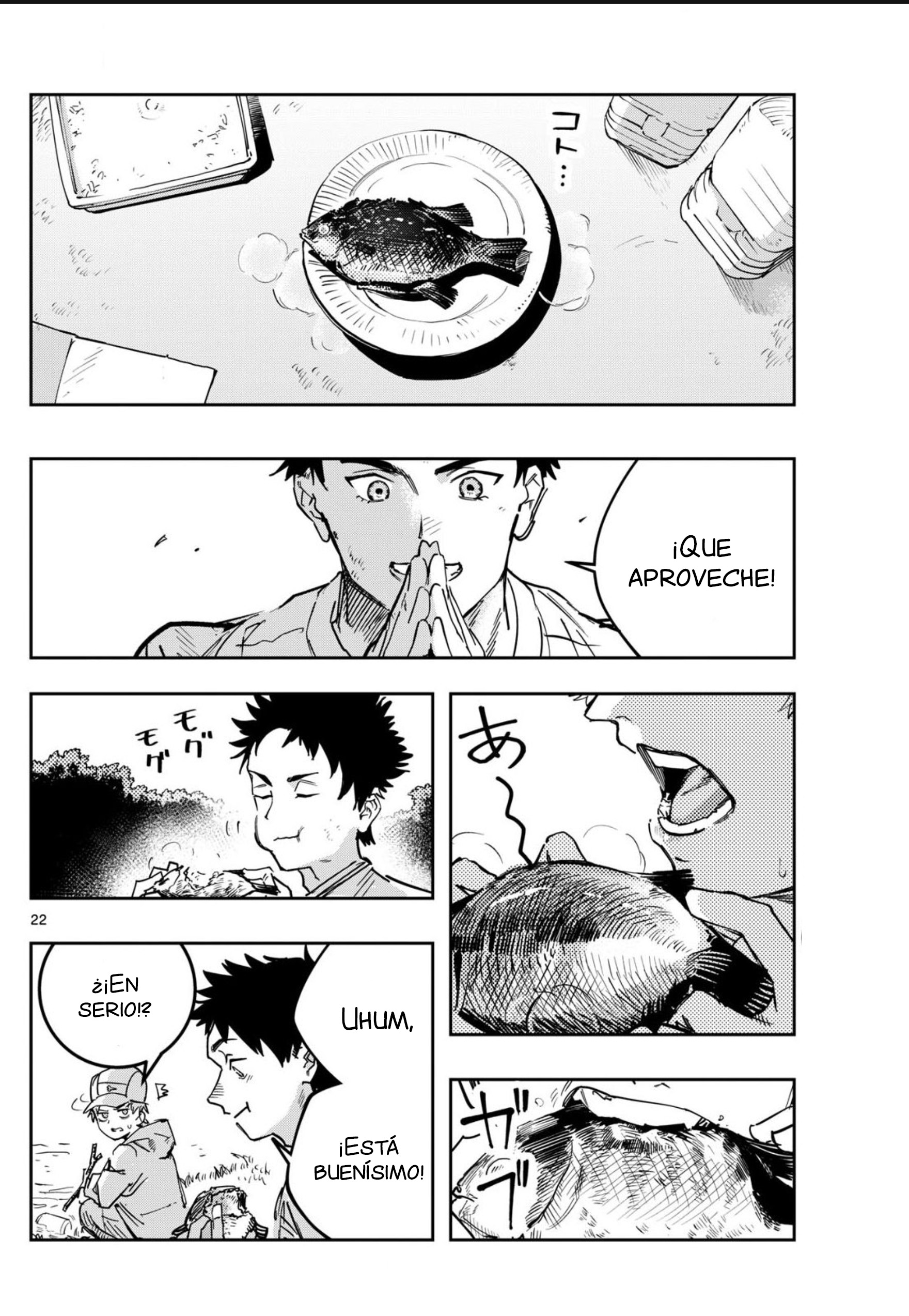 Strand Cortar 第22页