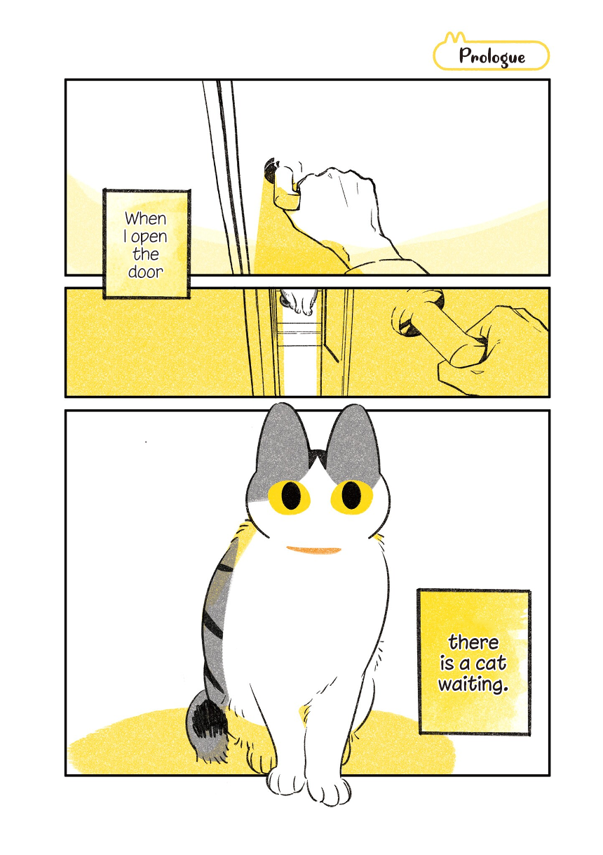 Life with a Grandpa Cat 第4页