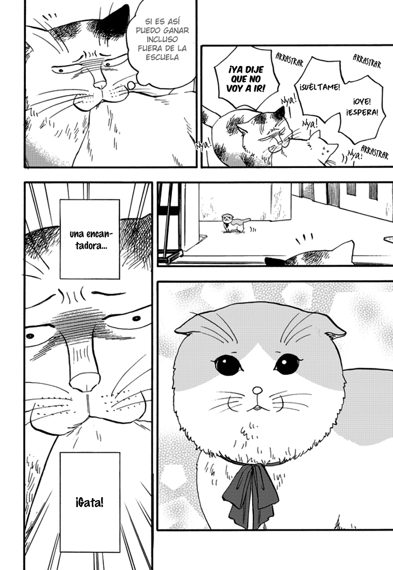 Ore wa Busamen - Neko Tsudzuri Vol. 1 Ch. 2 第16页