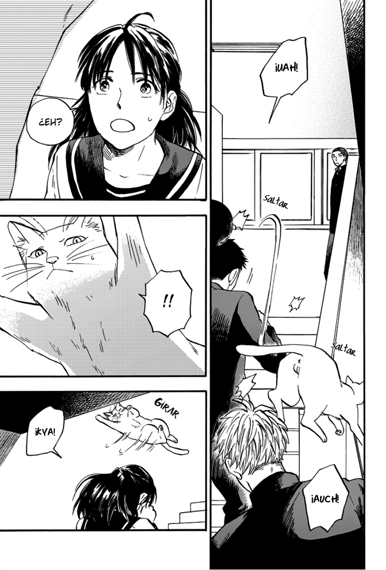 Ore wa Busamen - Neko Tsudzuri Vol. 1 Ch. 2 第9页