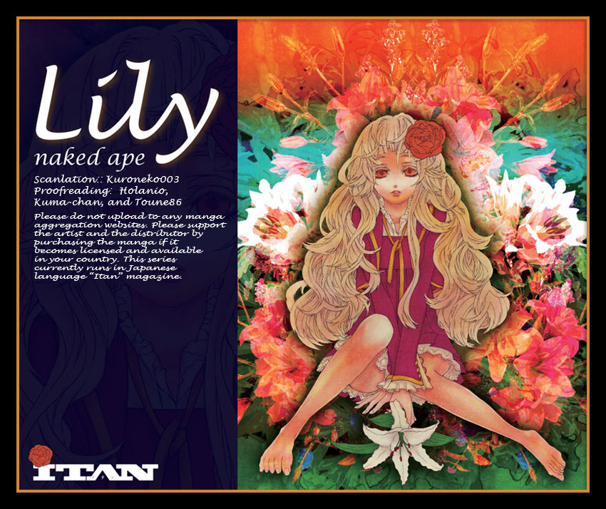 Magnolia Lily 1 第1页