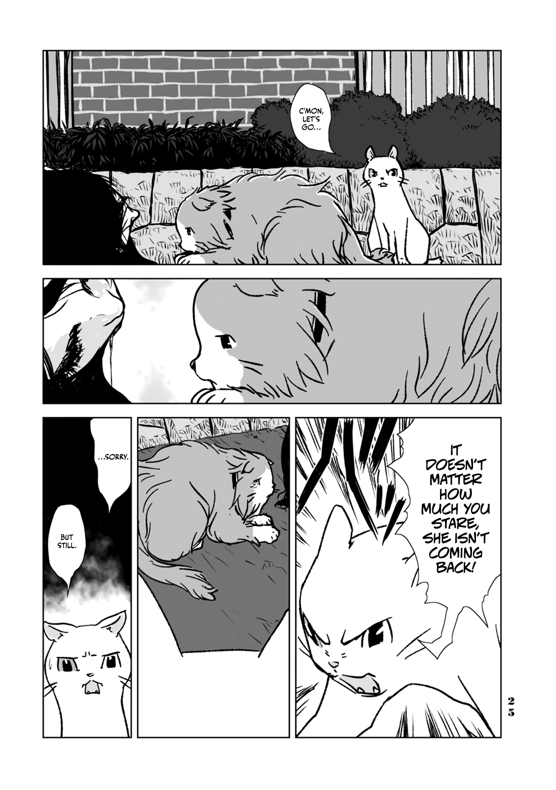No cats were harmed in this comic. I've become wiser! 第5页
